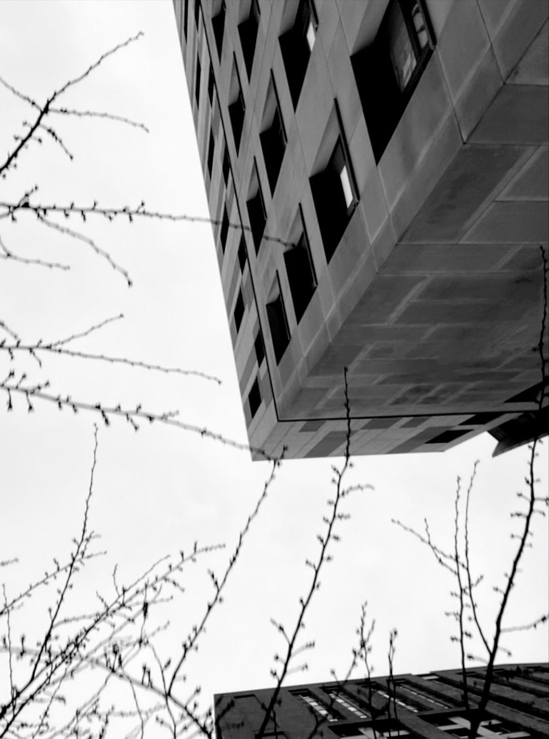 Perspective photo looking up at tall buildings