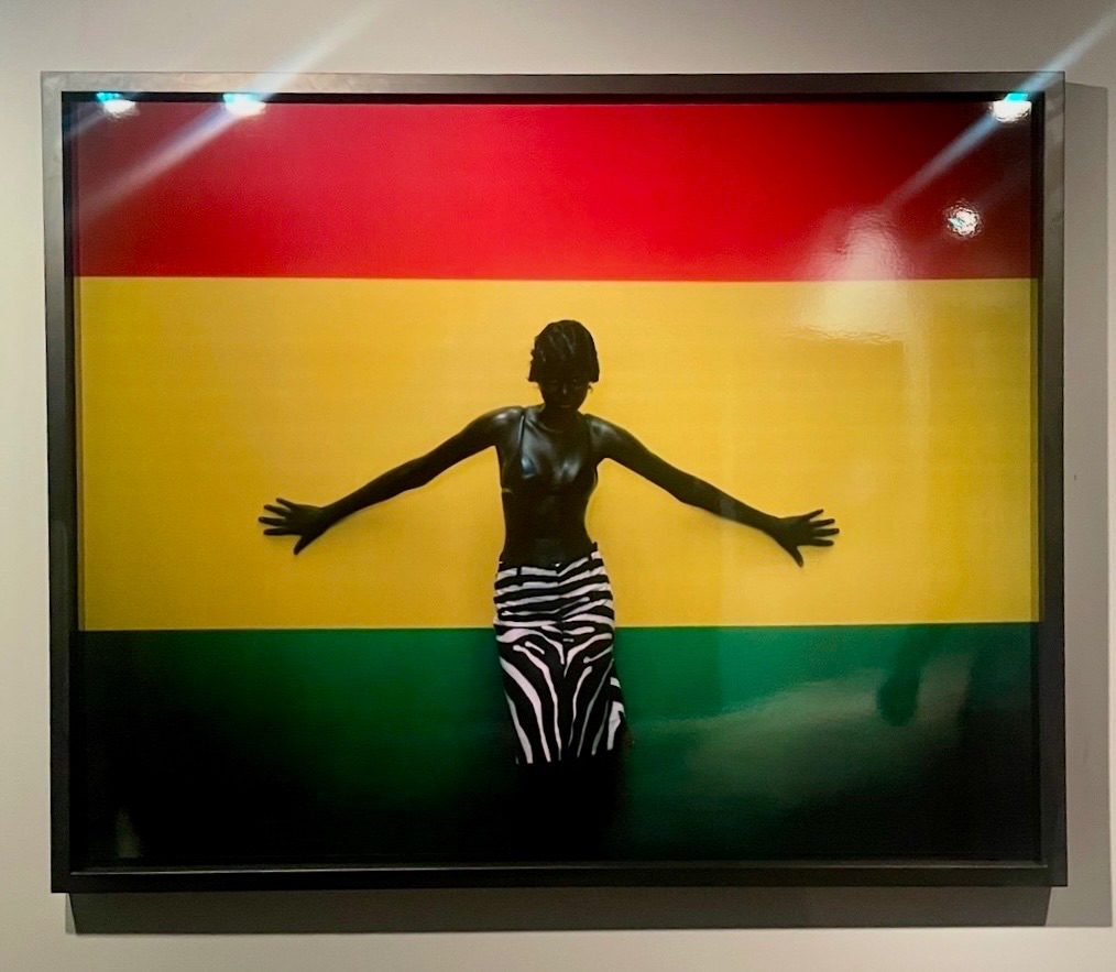 Photography of Gabriel Moses artwork of a flag