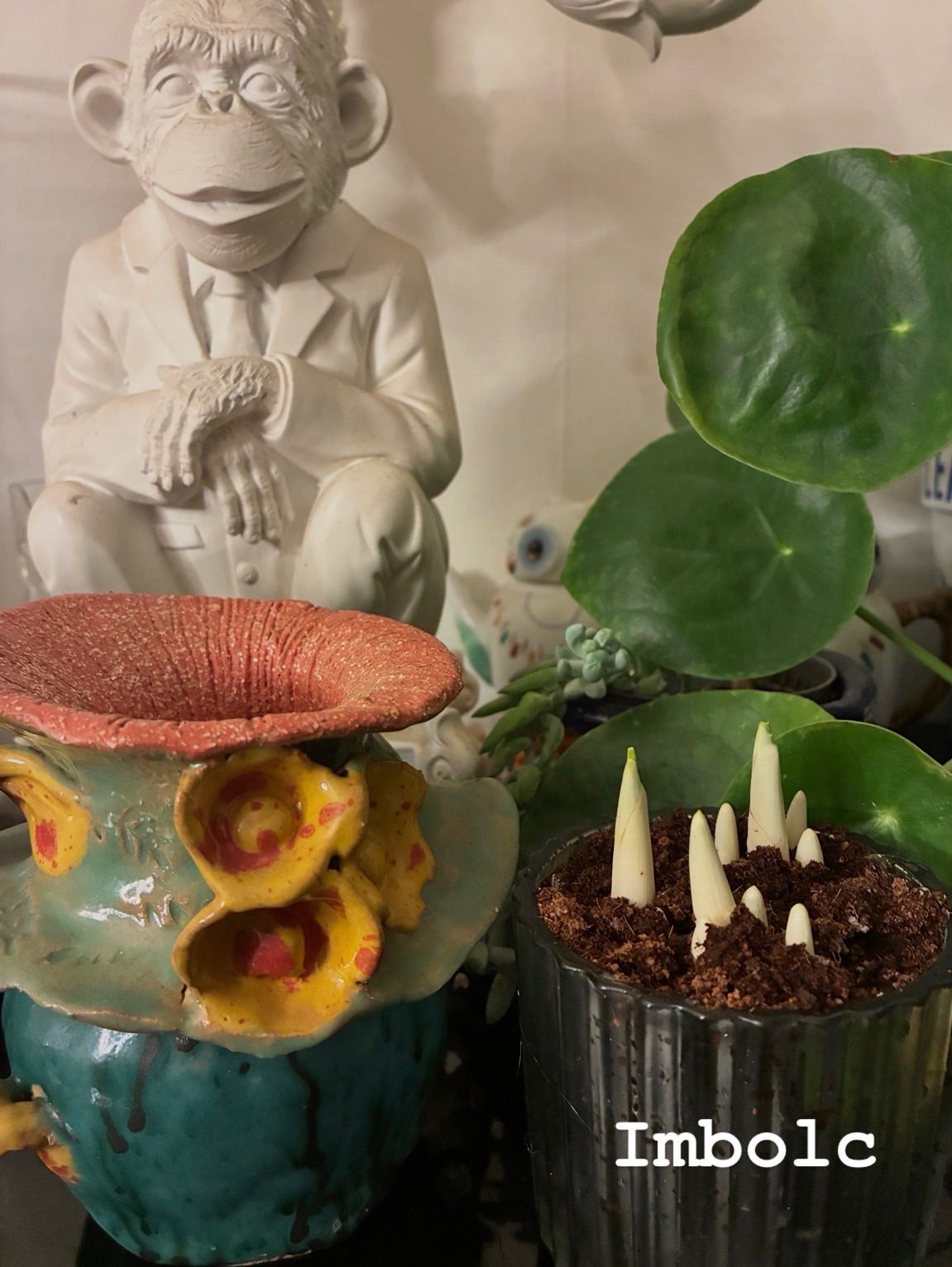 A photograph of a glass pot of soil with shoots coming through next to a handmade vase waiting to be filled with flowers.
