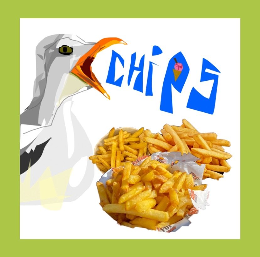 Digital drawing of seagull shouting chips with photos of chips cut out and placed on white background