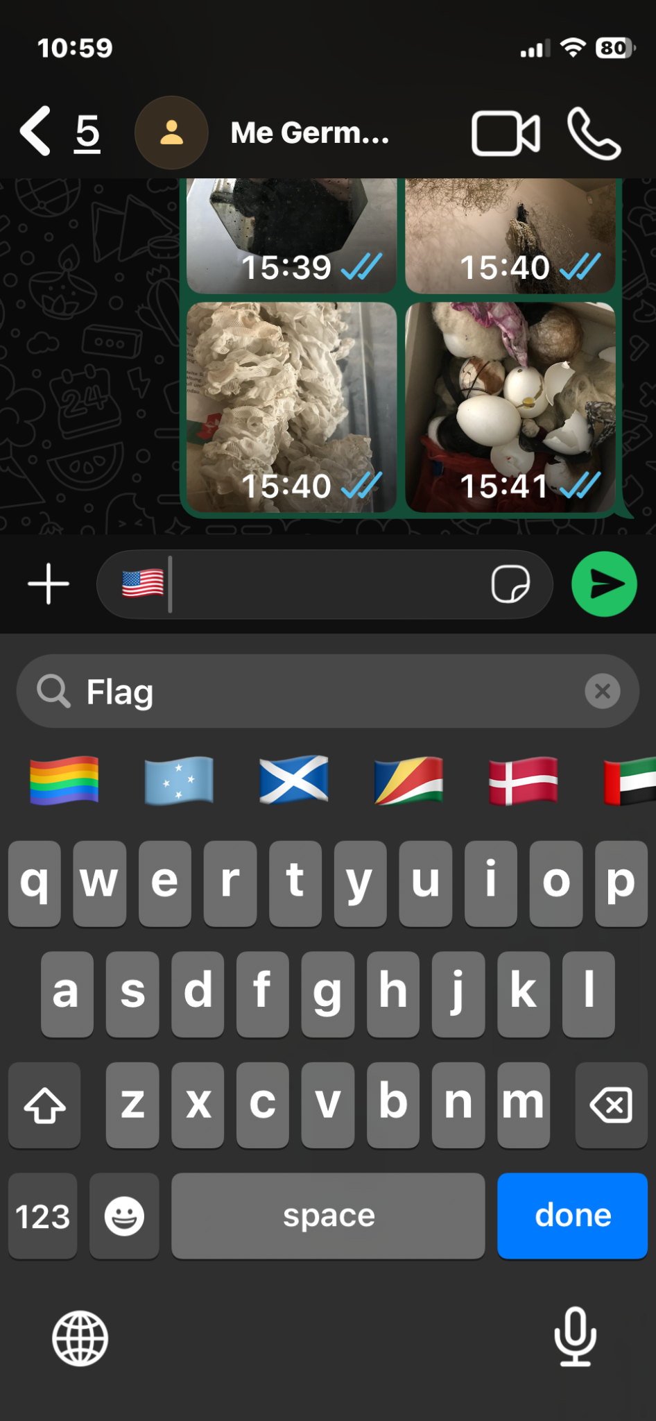 Searching through the flag emojis