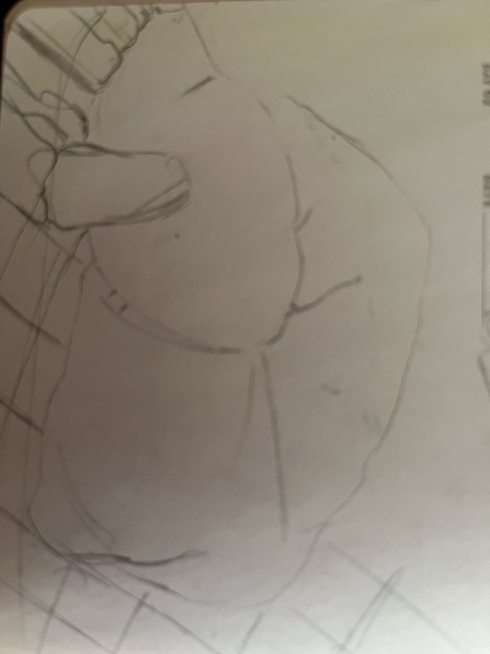 An idea is to improve my drawing skills of sketching my dog quickly before she moves position