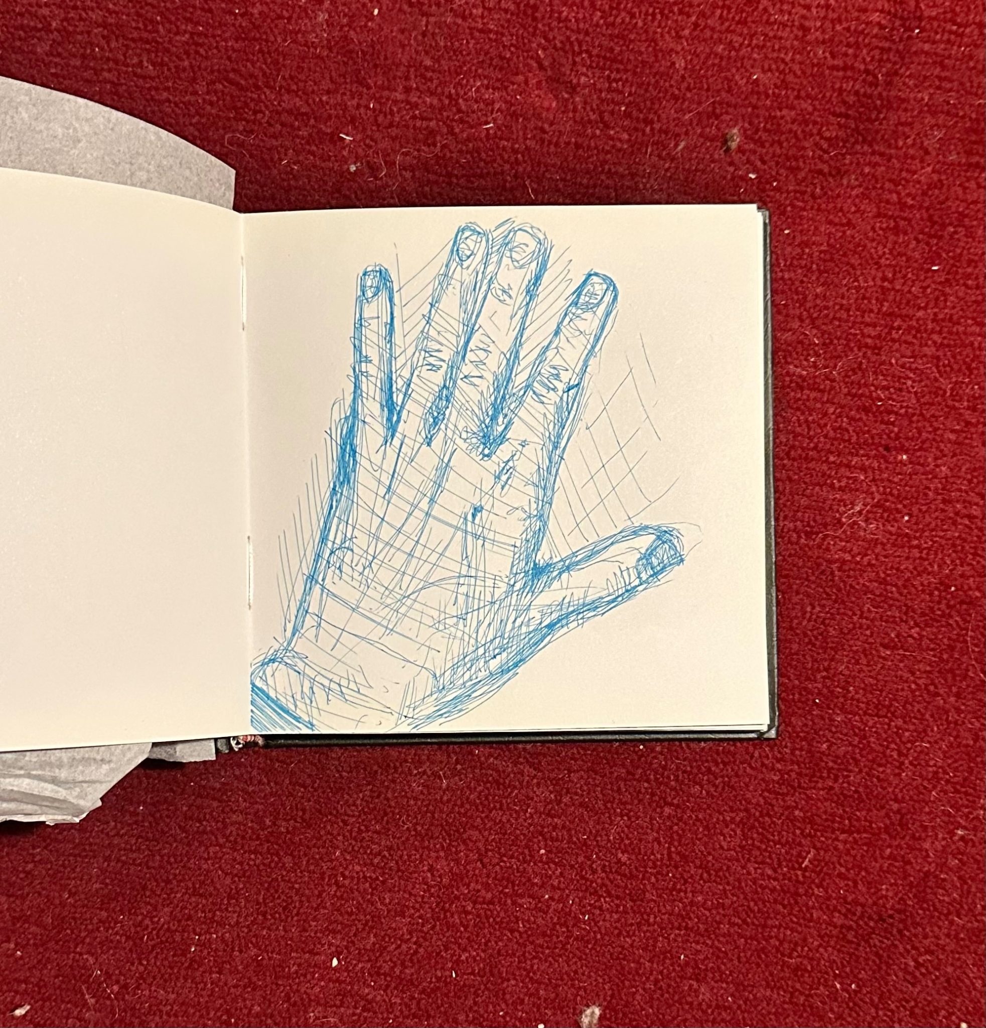 Pen drawing on paper