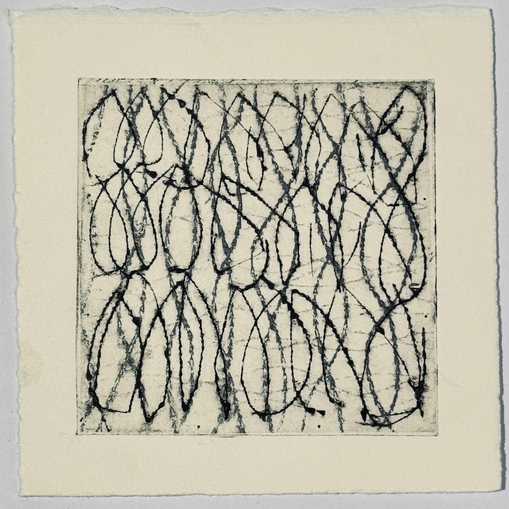 Drypoint print of distorted loops on chine collé printed with the same plate
