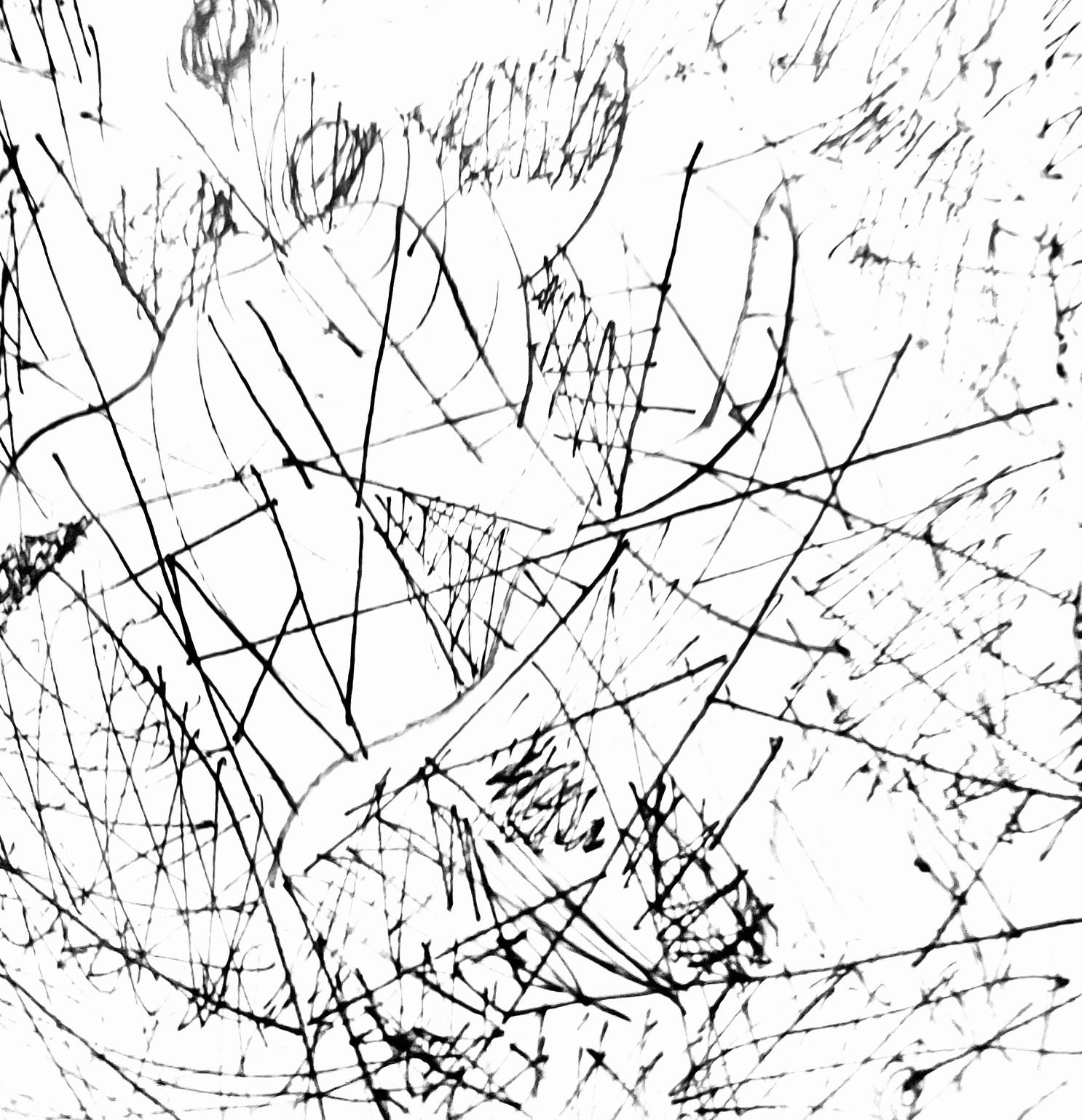 Black and white geometric line art, suggesting a form of depth, spiralling and vertigo