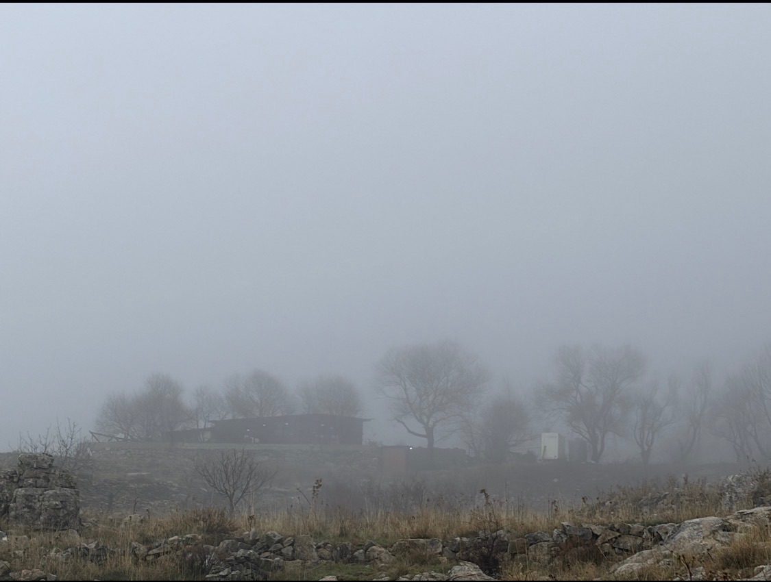 When a the morning mist turns into an abstract natural painting