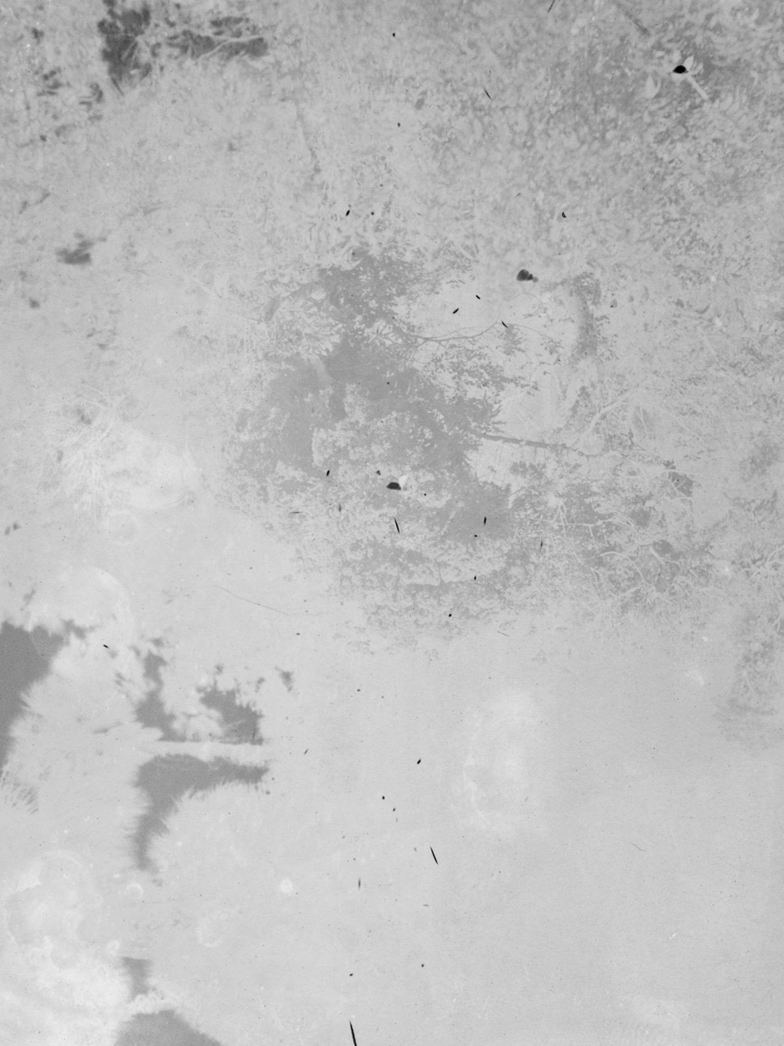 washed out monochrome silvery grey non image