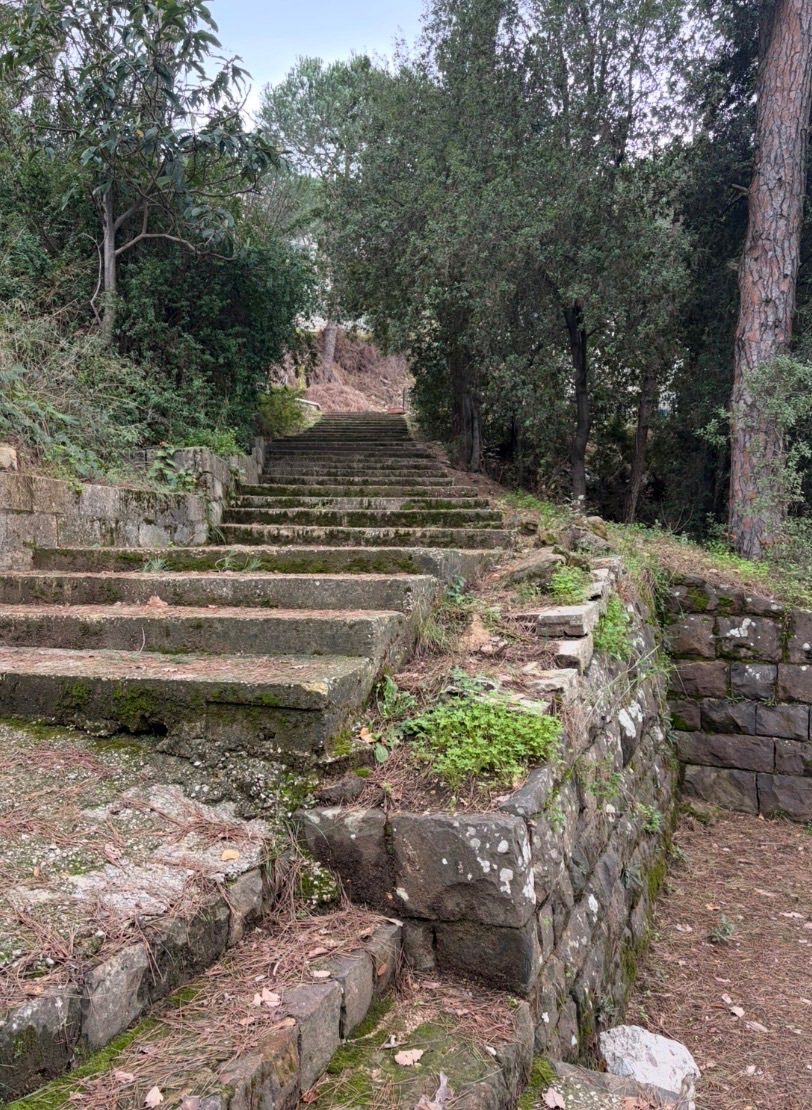 Forgotten Pathway Description: Ancient moss covered stone steps ascend through a dense woodland, where nature slowly reclaims the man made structure, evoking mystery and timeless history.