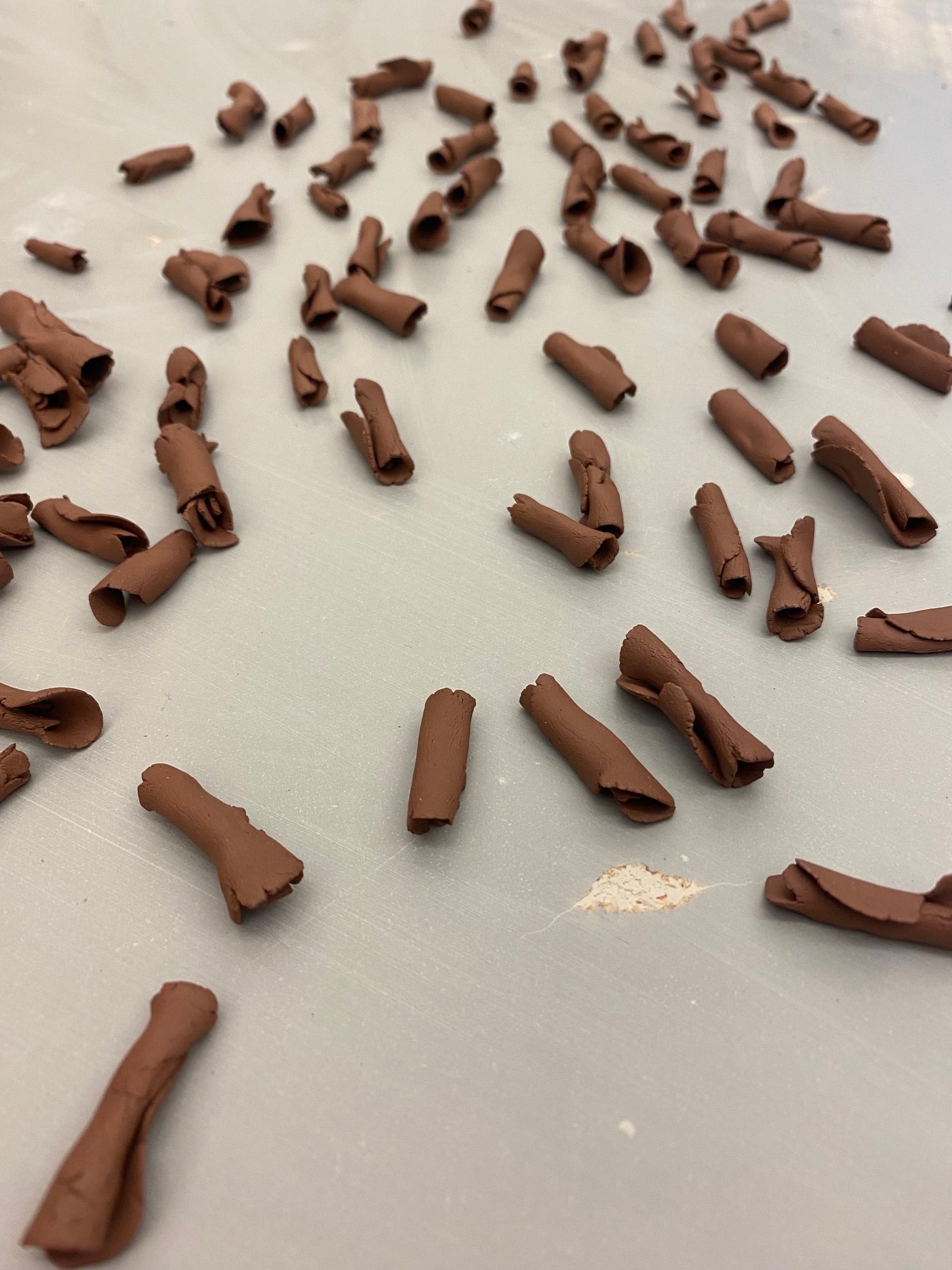 Tiny scrolls of earthenware clay laid out on a table