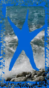 Frames taken from a video of an ocean with blue elements and symbols of the ocean overlaying the images