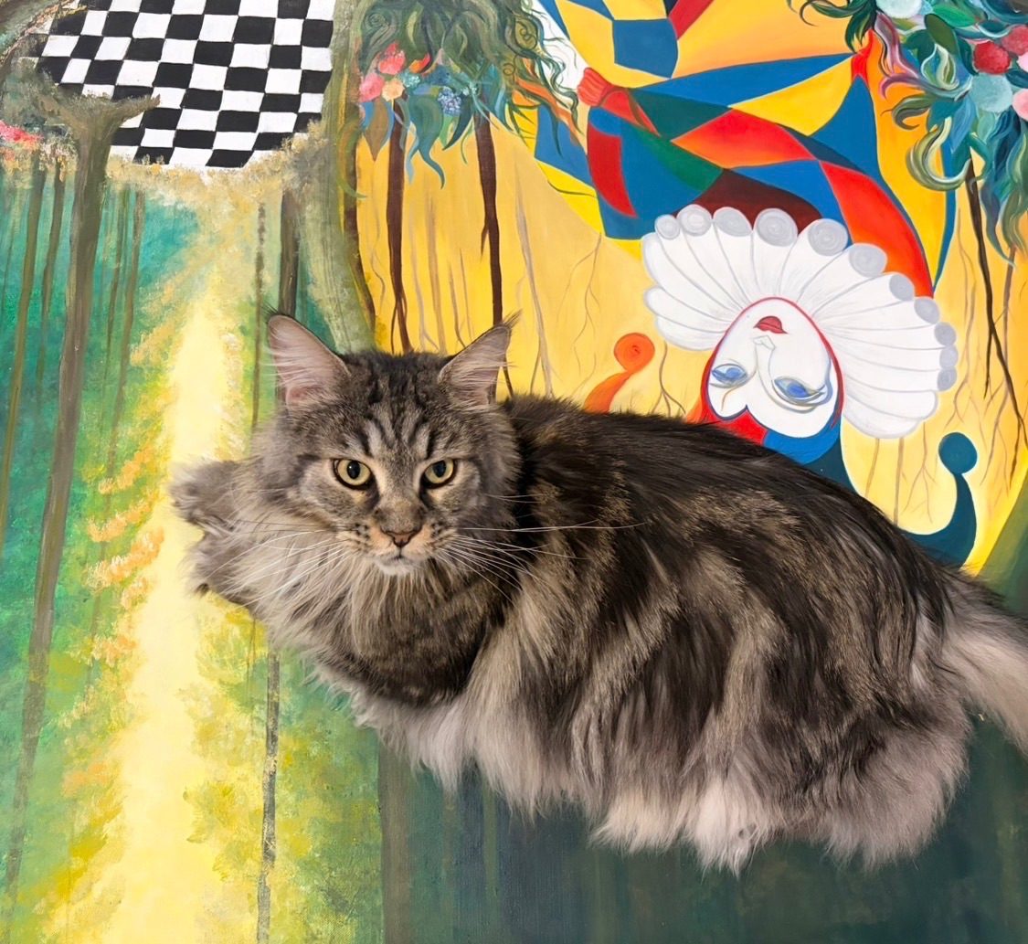 My maincoon cat relaxing on a painting