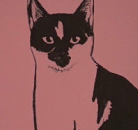 A drawing of my cat Figaro