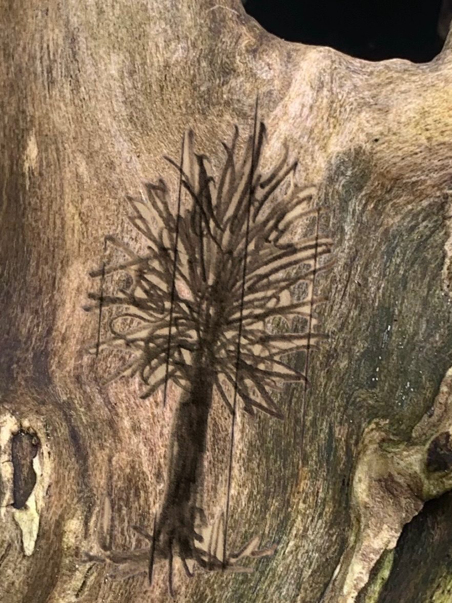 Drawing imposed on top of photograph