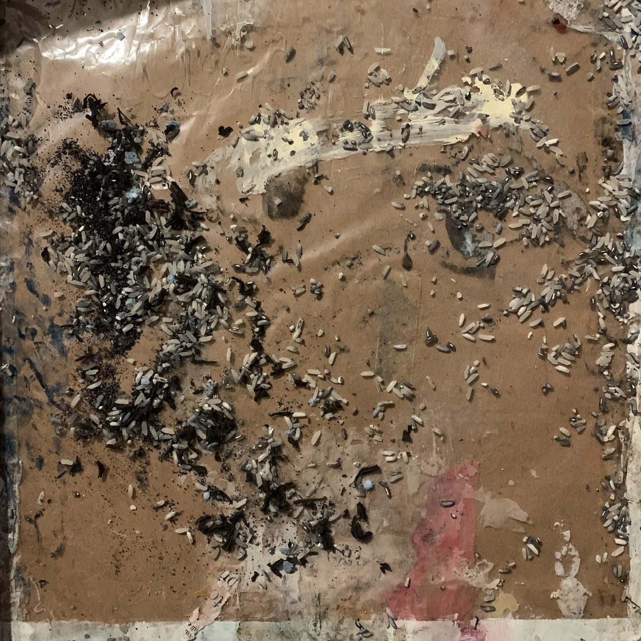Scattered rice grains and bits and bobs, leftovers after artwork