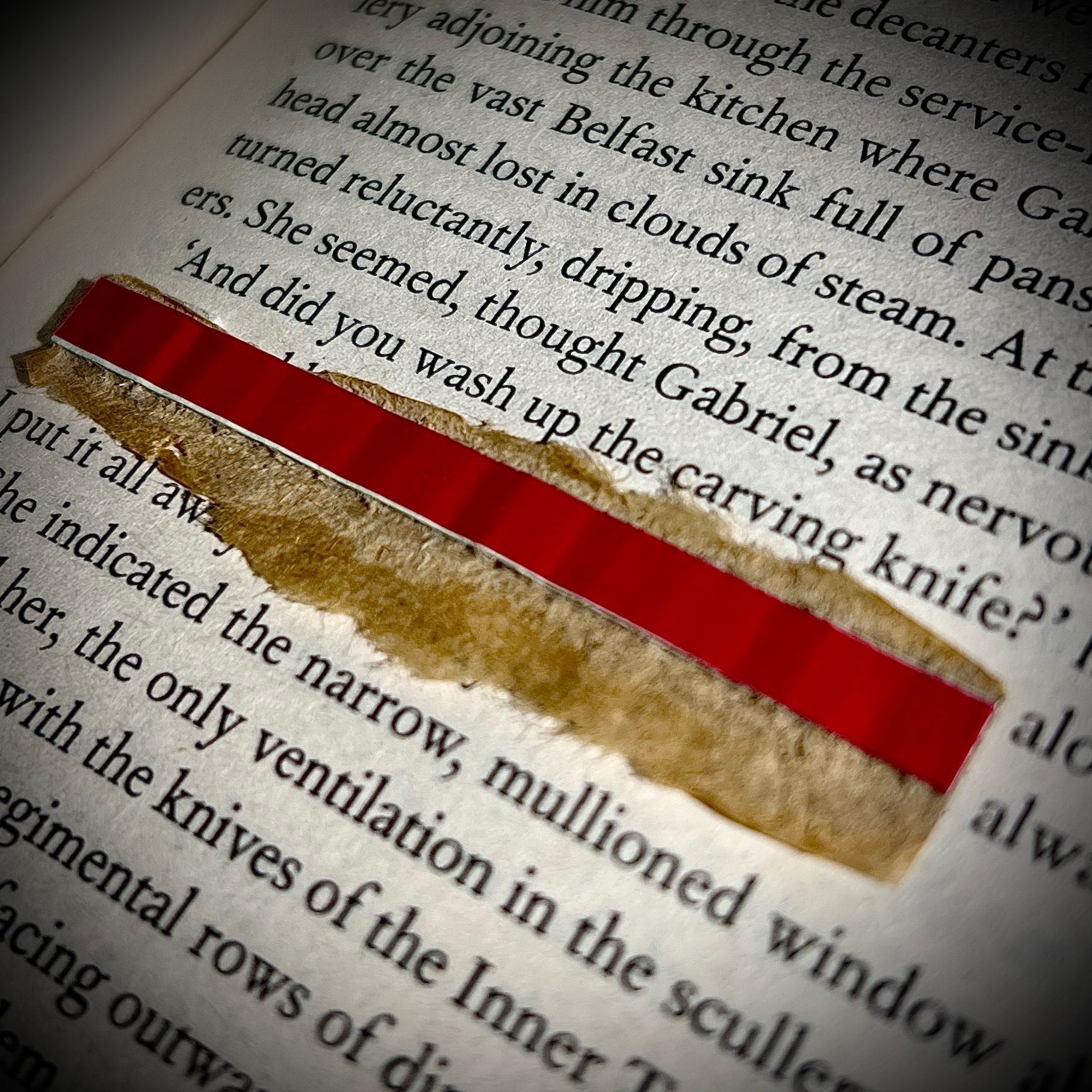 Part of page 37 from ‘A Case of Mice and Murder’ by Sally Smith. Underlining the words “And did you wash up the carving knife?” is a red shiny rip-strip from a card envelope
