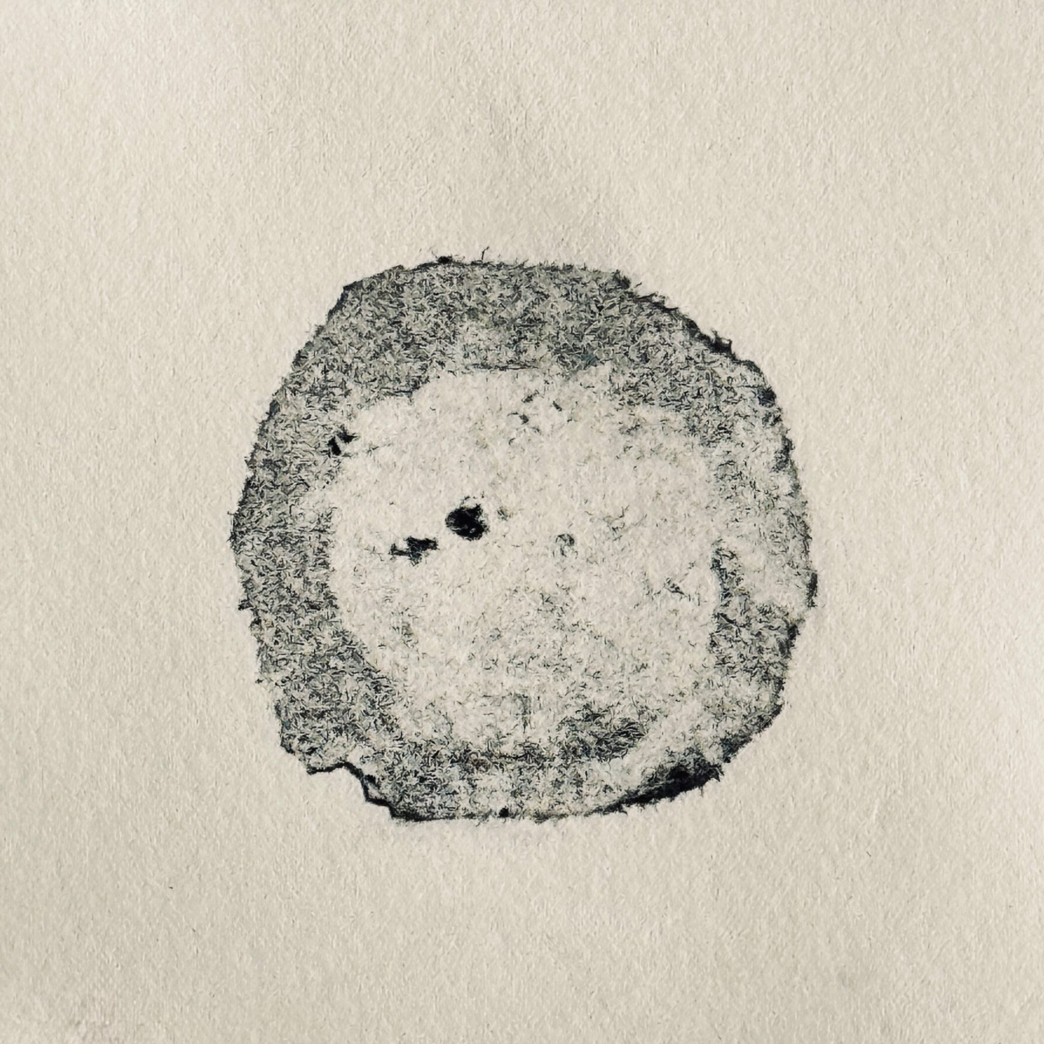 Ghost print of relief resists in the form of superimposed circles printed in black.