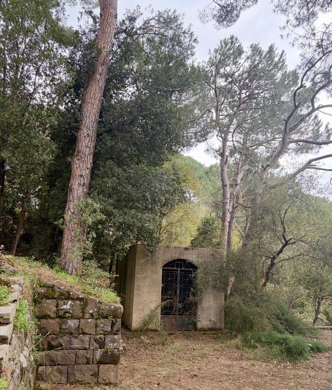 There’s an old church and cemetery I run to whenever I feel like hiding