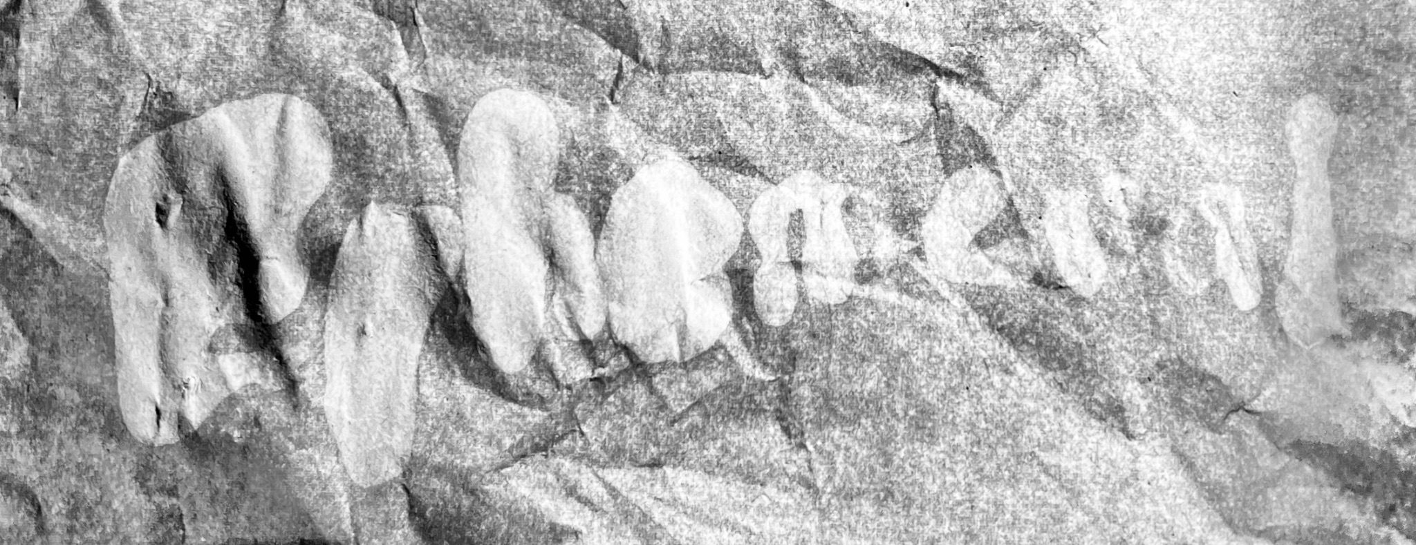 Black and white image of the word Epheneral, written in water on newsprint.