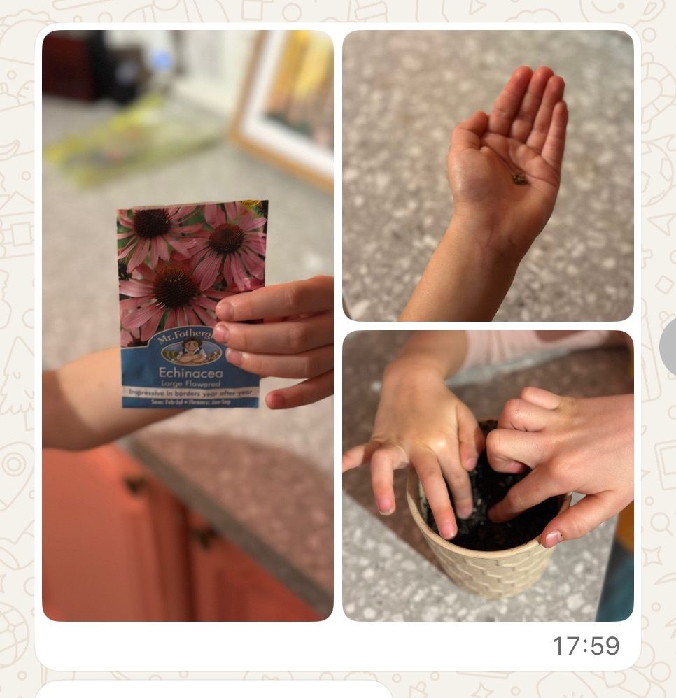 WhatsApp photos of my daughter pretending to sow seeds  s