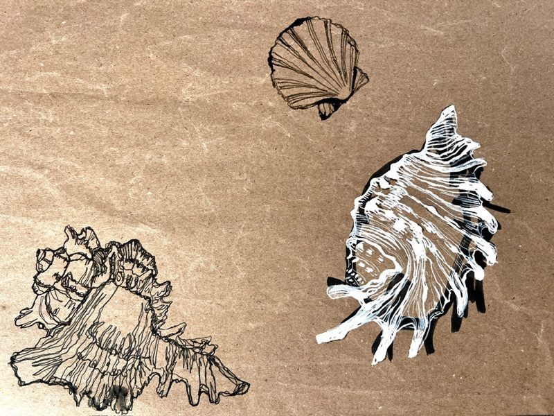 Black, white and sepia ink drawings on brown paper