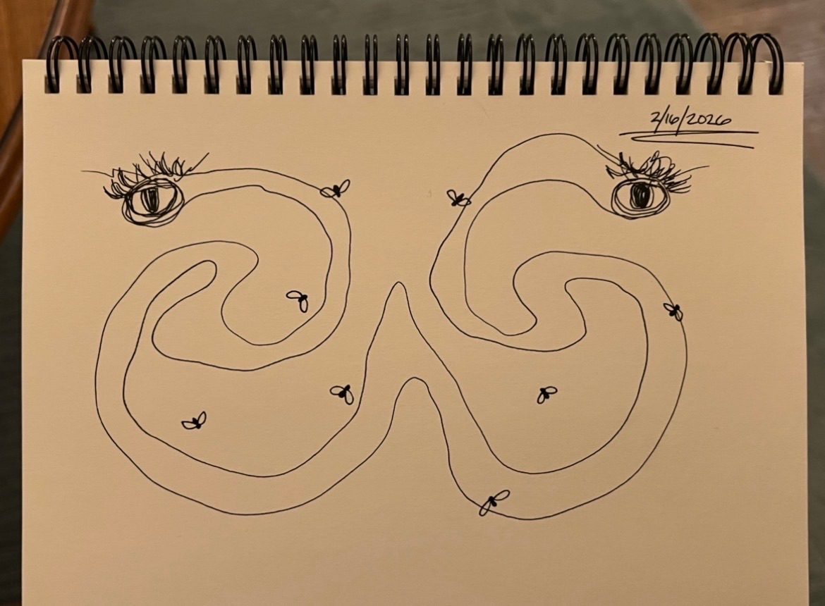 Drawing of a snakelike creature with eyes at either end and flies around it
