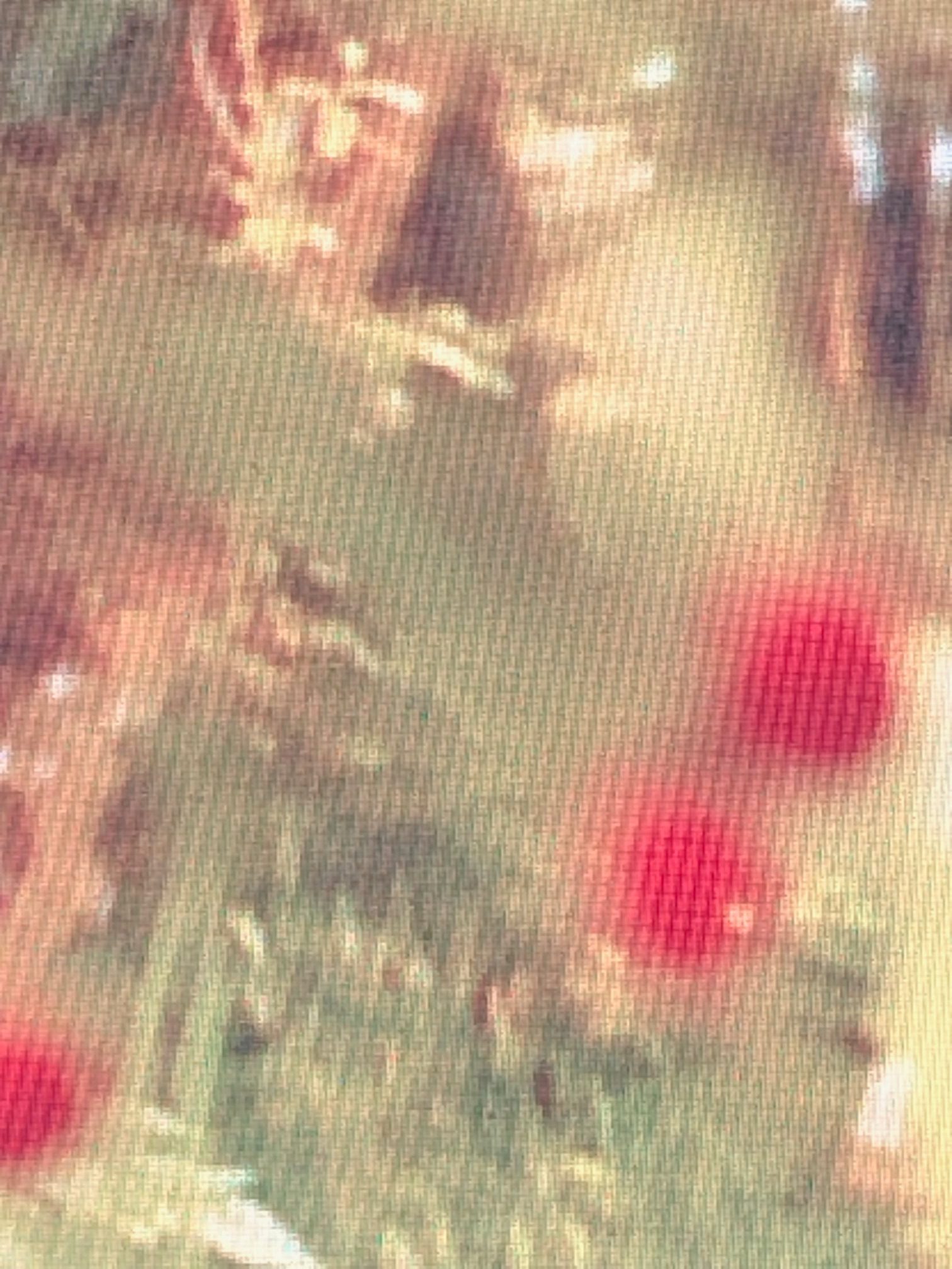 detail of a screenshot red and green blurry