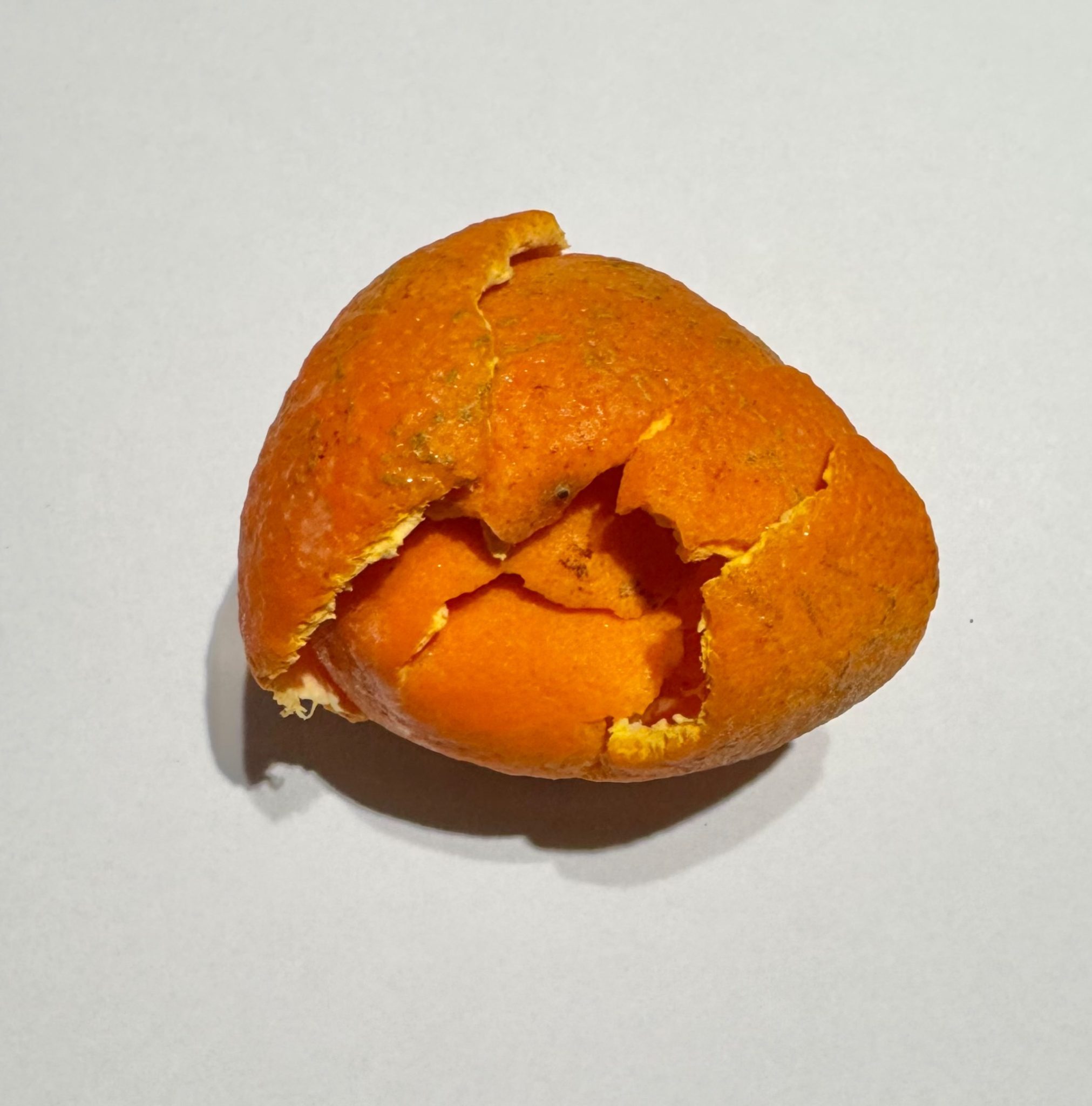 Orange peel tucked in each other