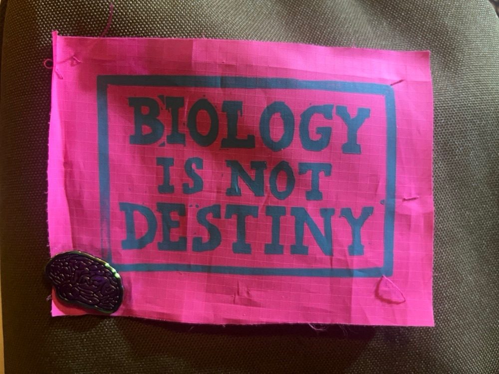 A fluorescent pink patch sewn onto a khaki background (my rucksack) hand printed with blocky text reading “Biology is not destiny.”