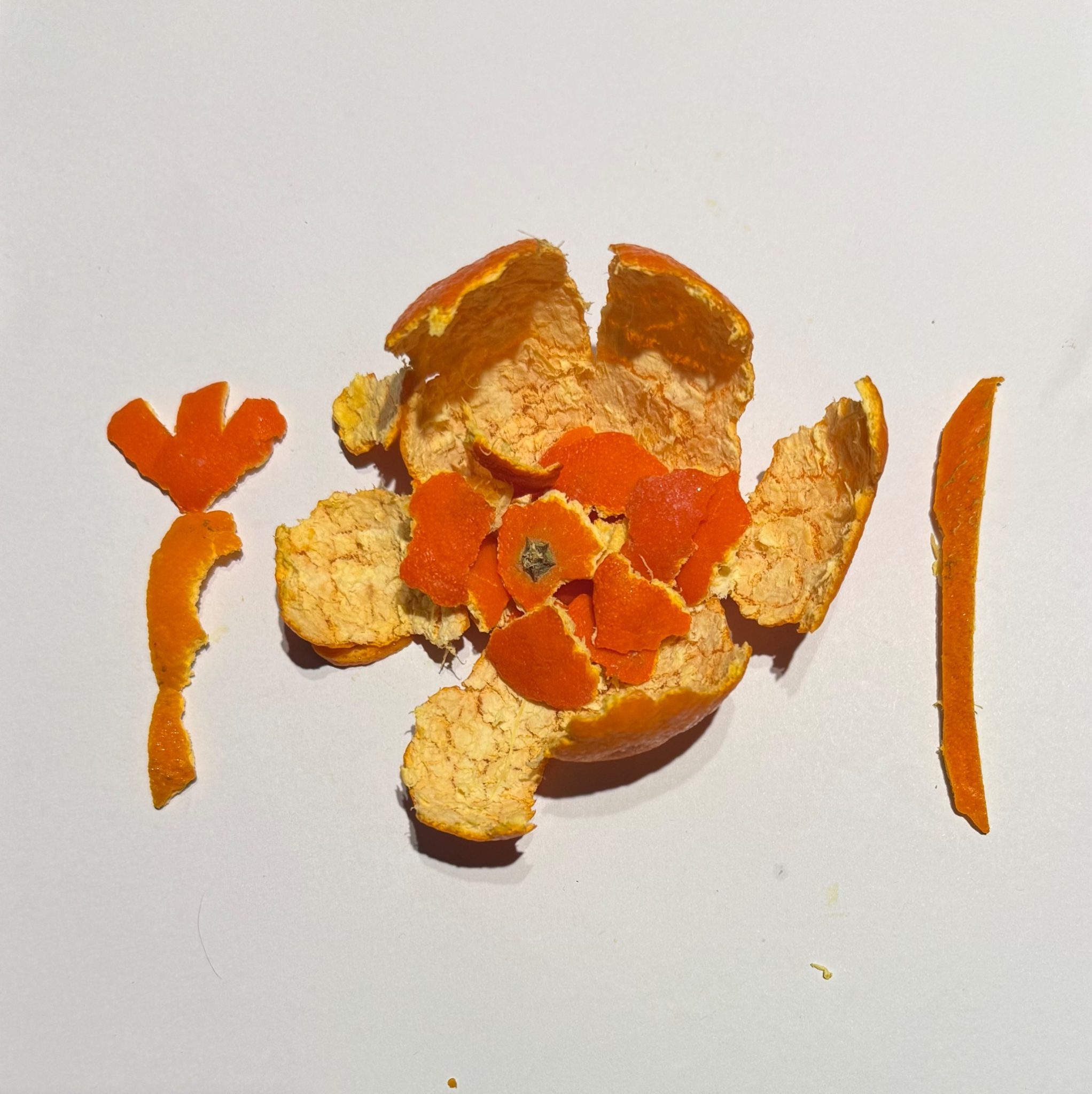 You art what you eat… orange peel meal …