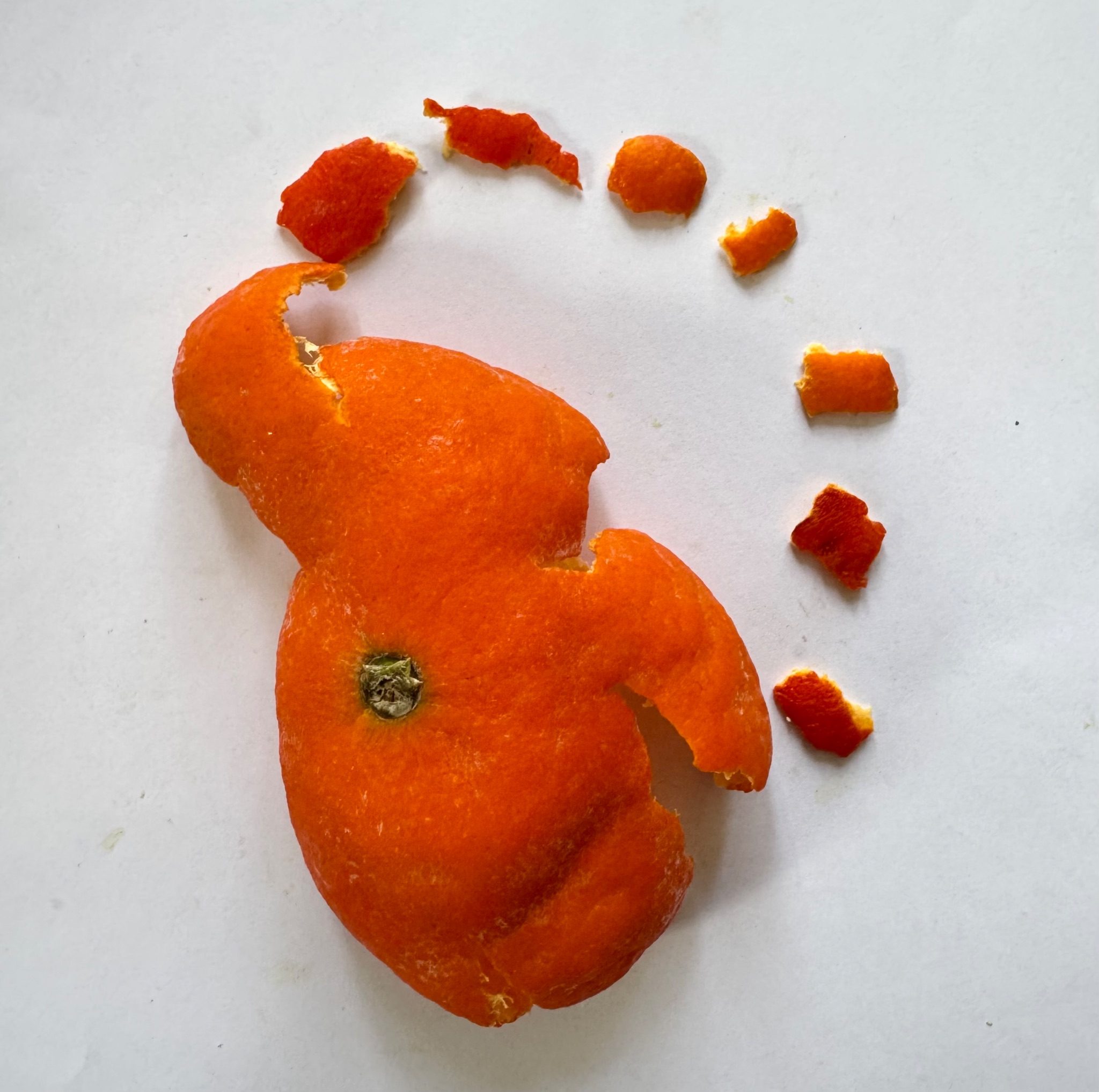 Orange peel inspired by music
