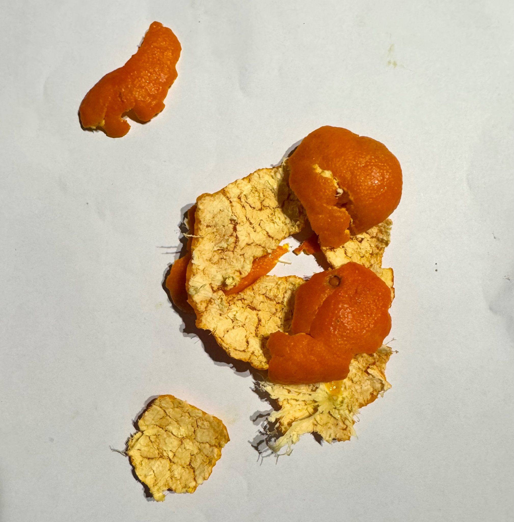 Orange peel composition while doing something else …