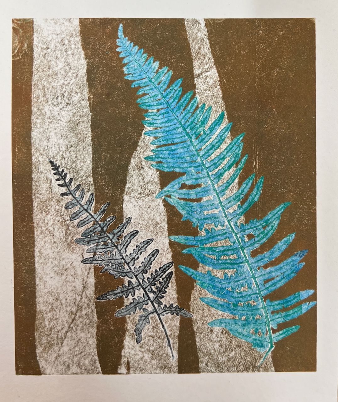 ferns printed