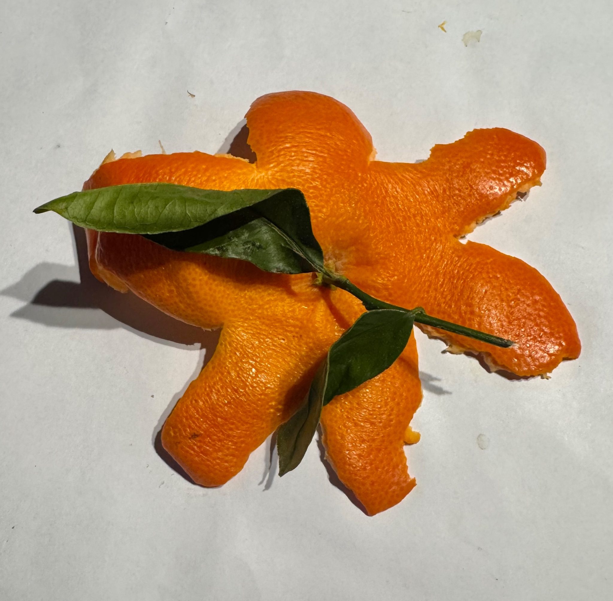 Tangerine peel with stem