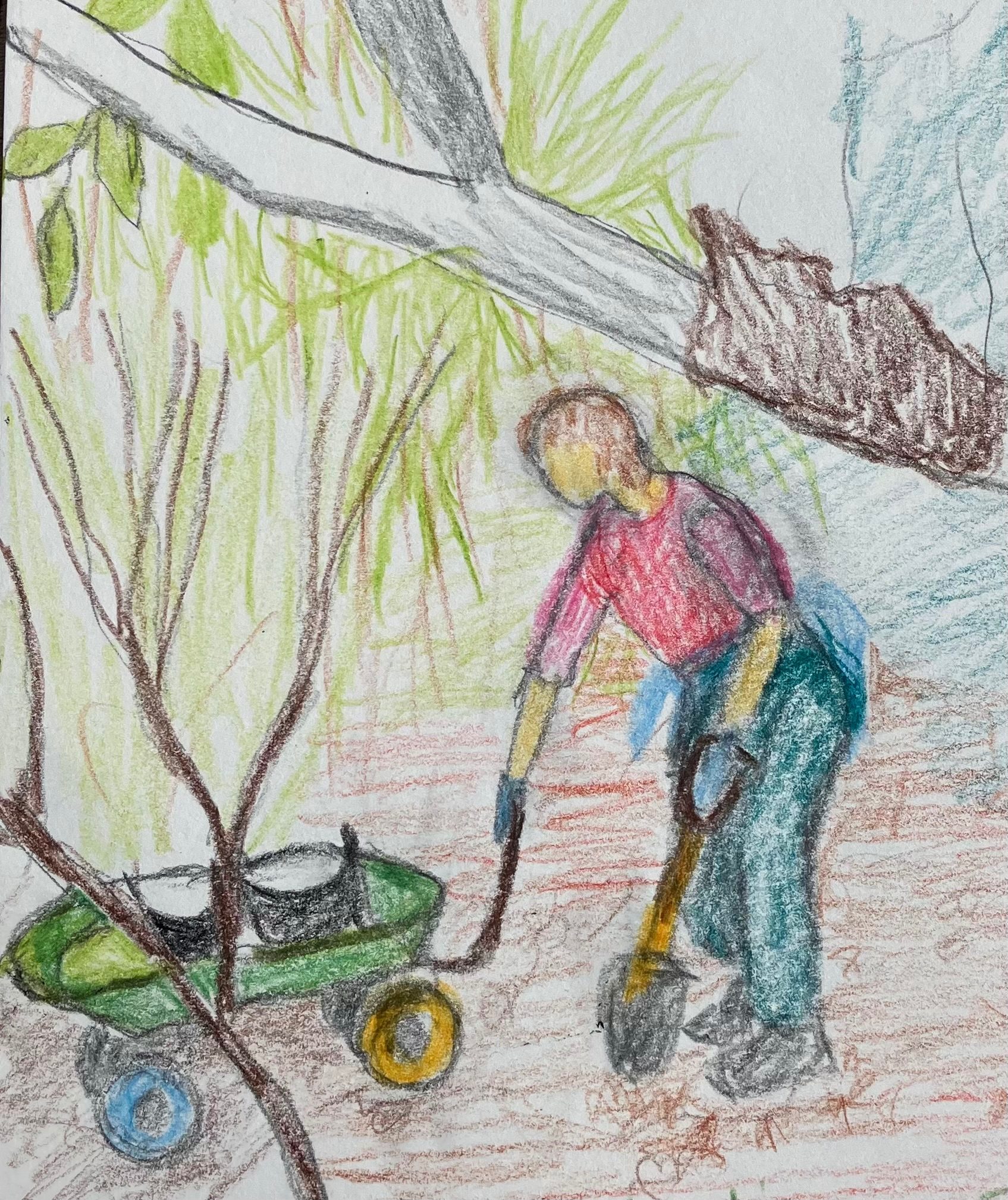 Communal plant garden