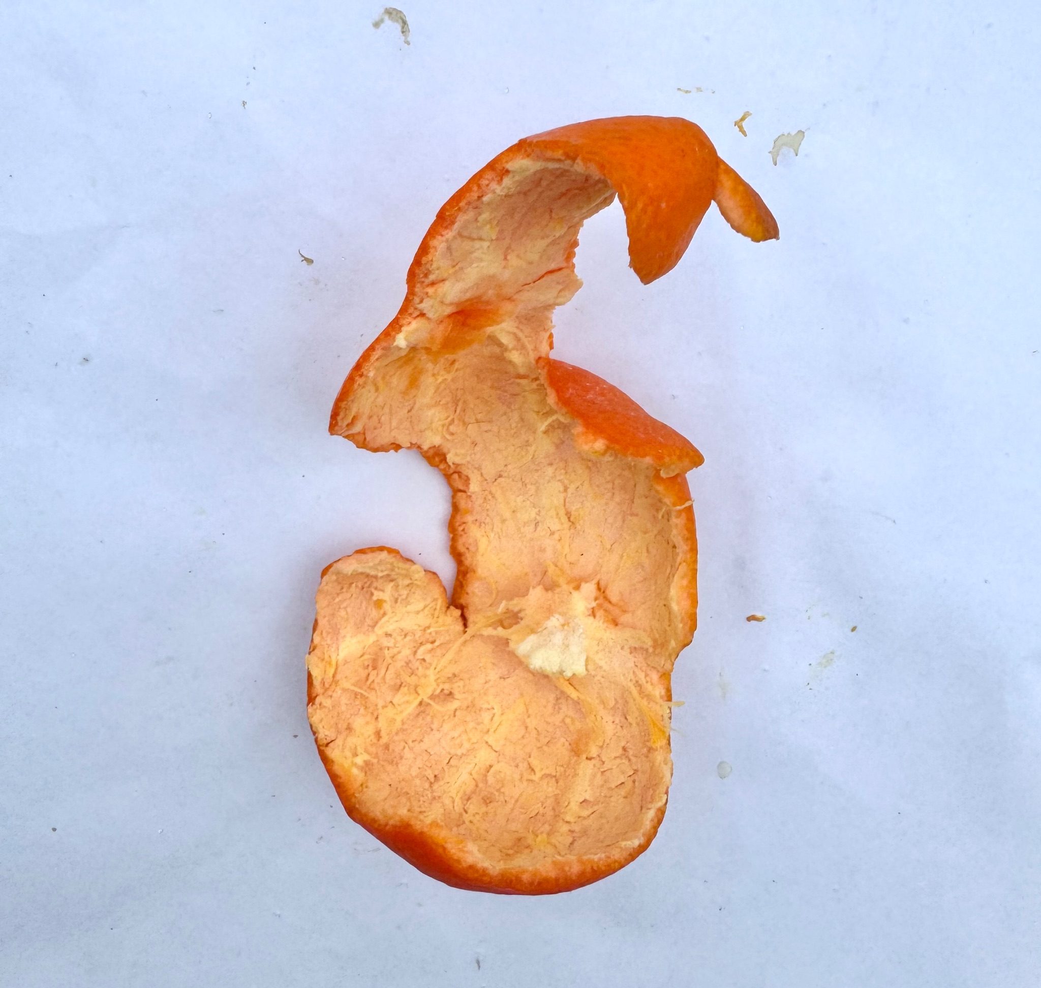 Tangerine peel freshly peeled