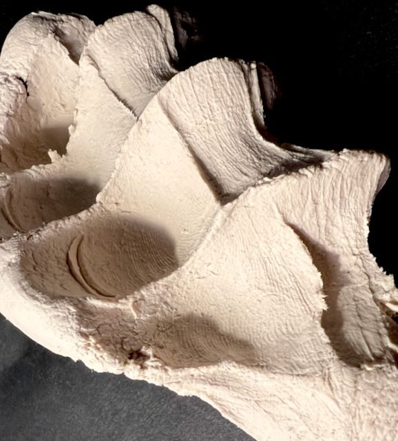 Squeezed porcelain clay on black paper