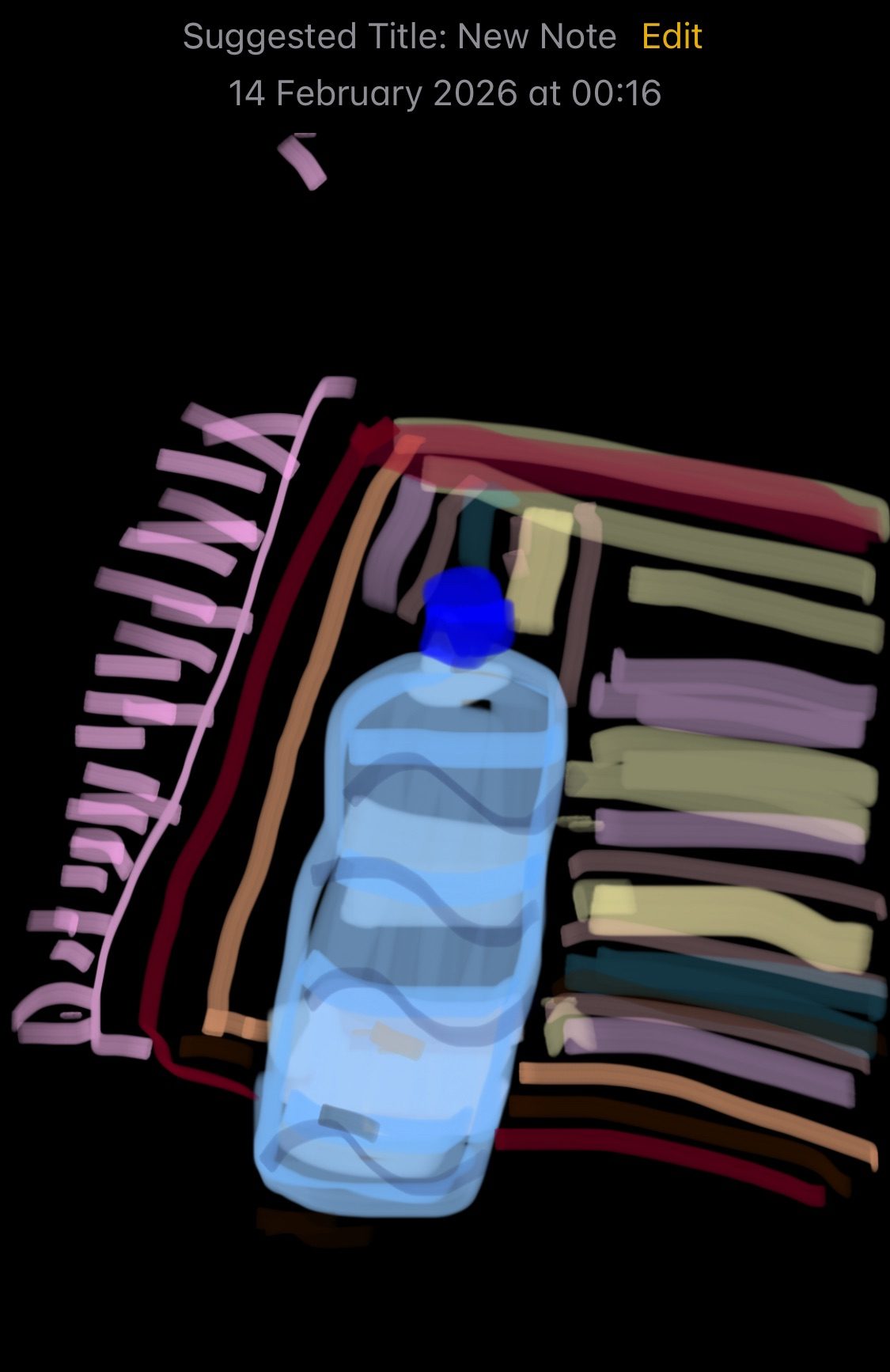 Digital drawing done on notes app of a water bottle and a rug