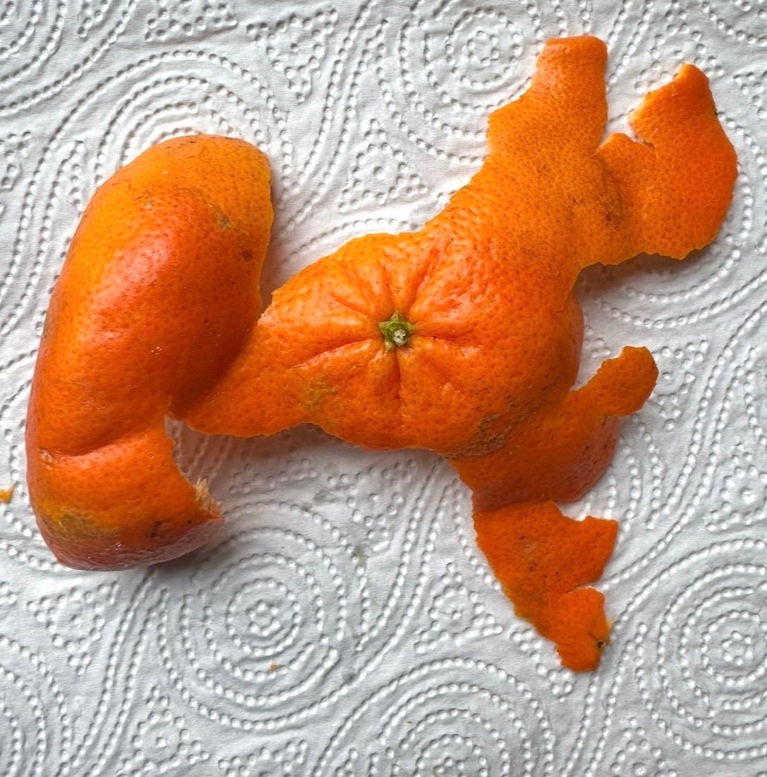 Tangerine peel