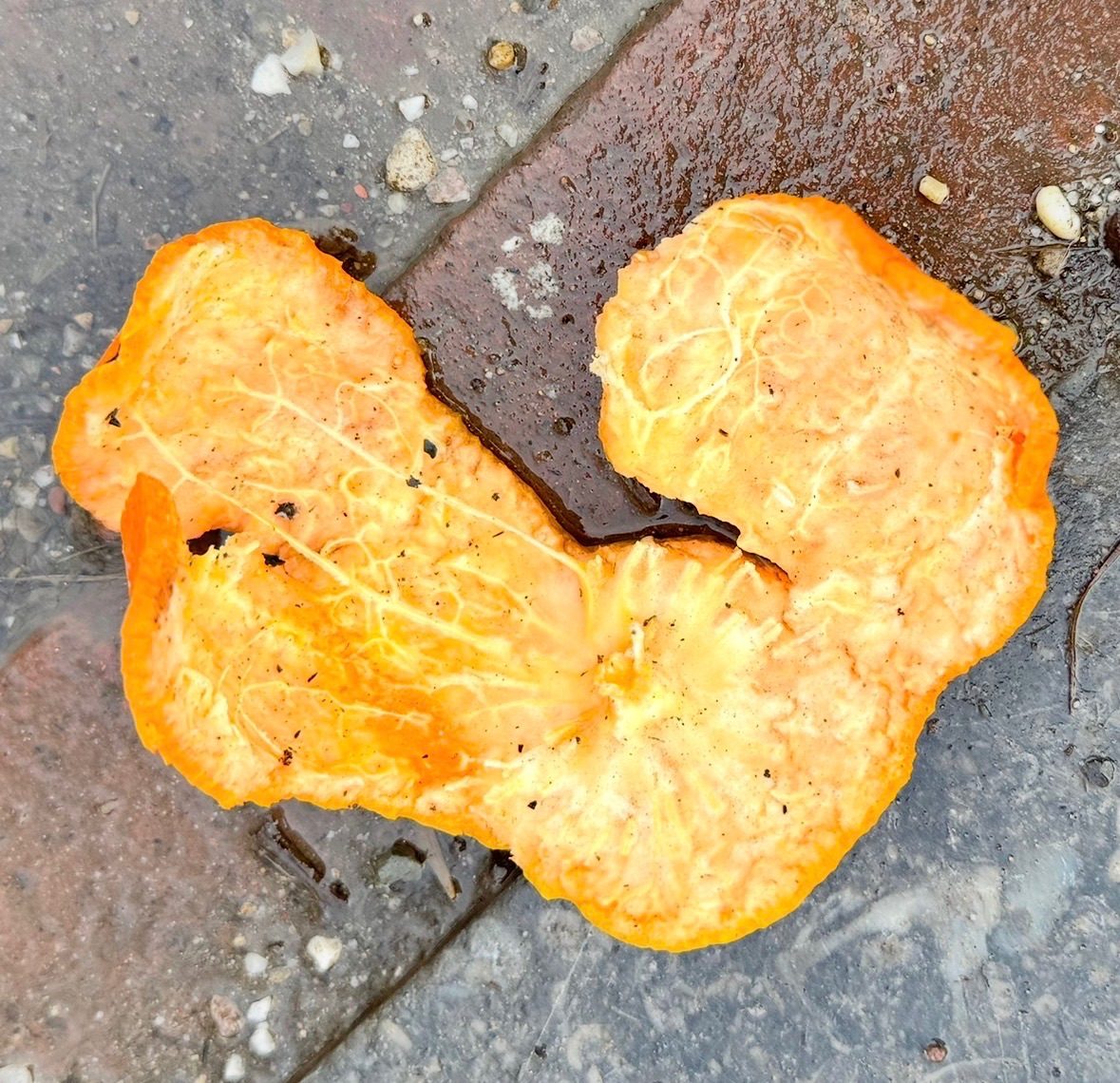 Orange peel on the street
