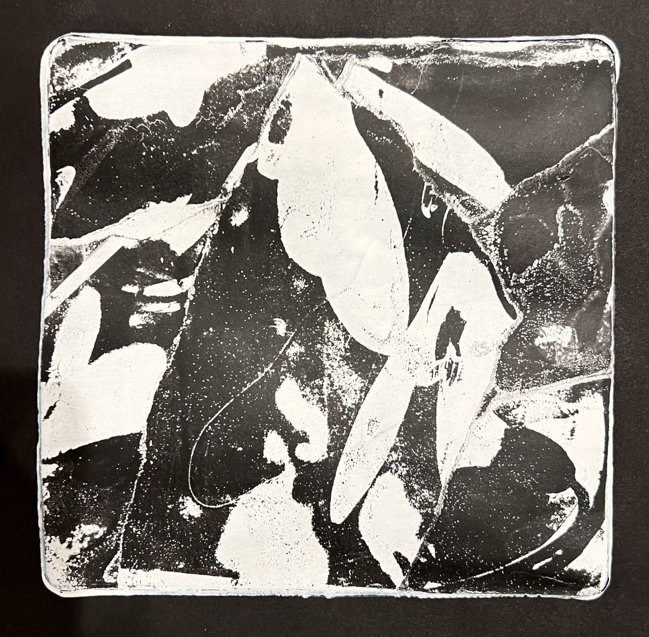 balck and white cut up images of snowdrops