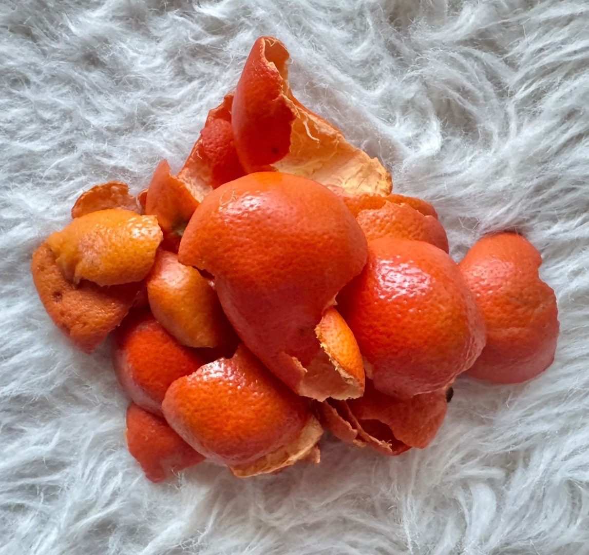 Orange peel composition made in collaboration with my son