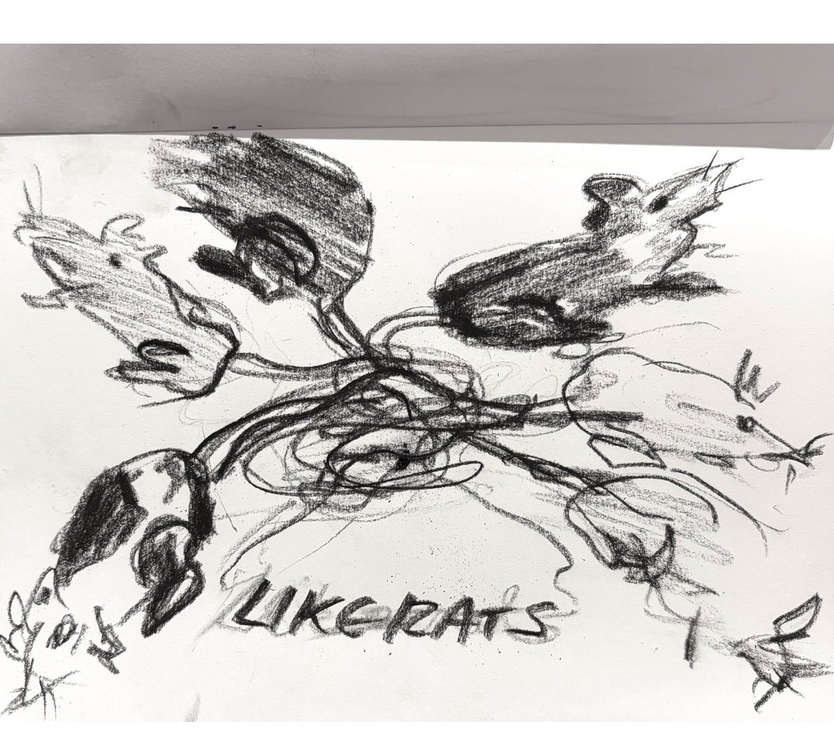 Charcoal drawing of a rat king