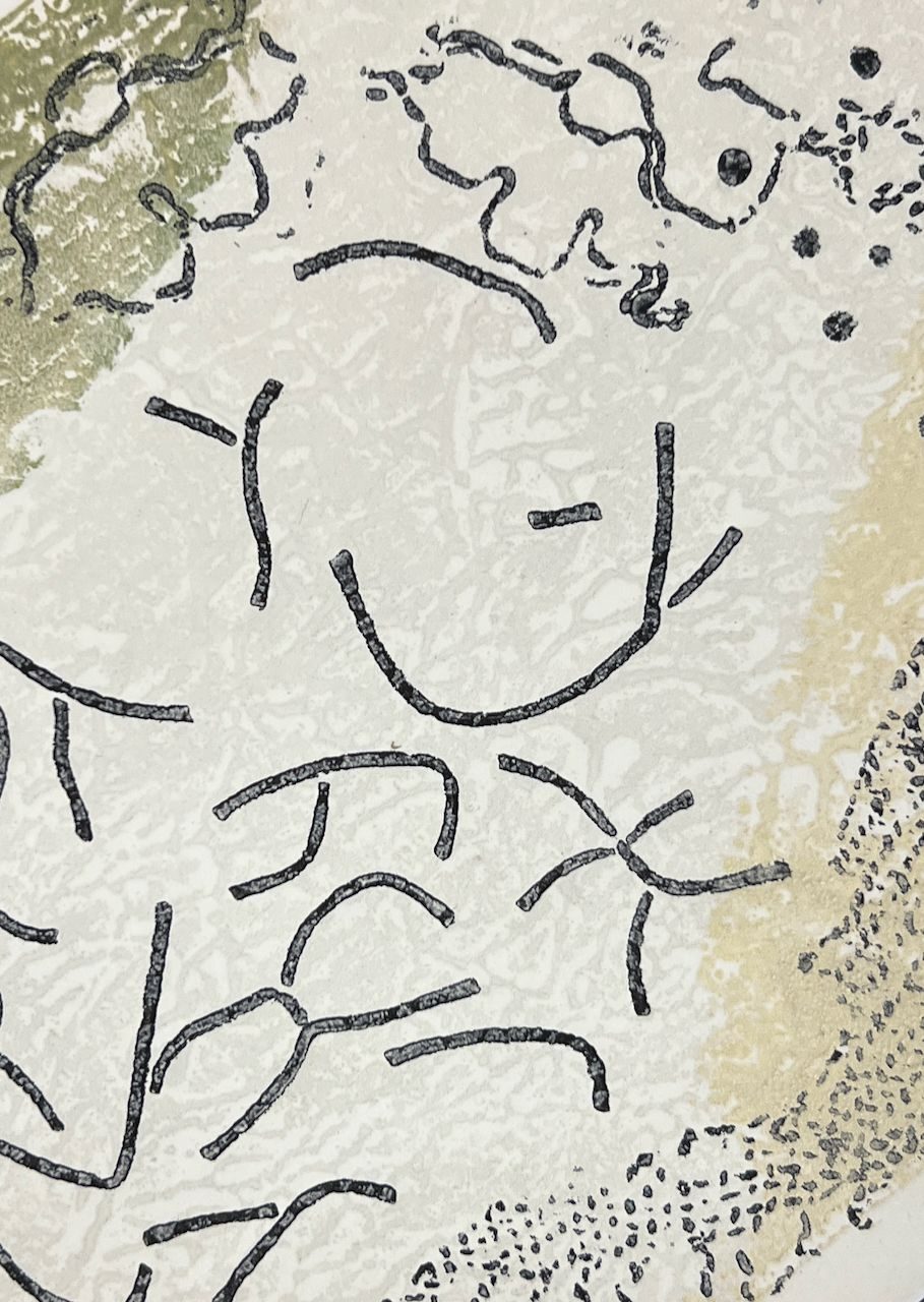 black lines on green, cream, grey background