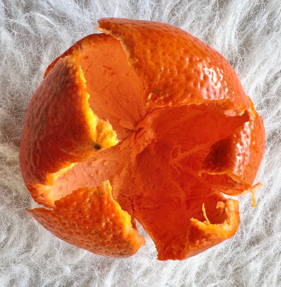 Tangerine peeled