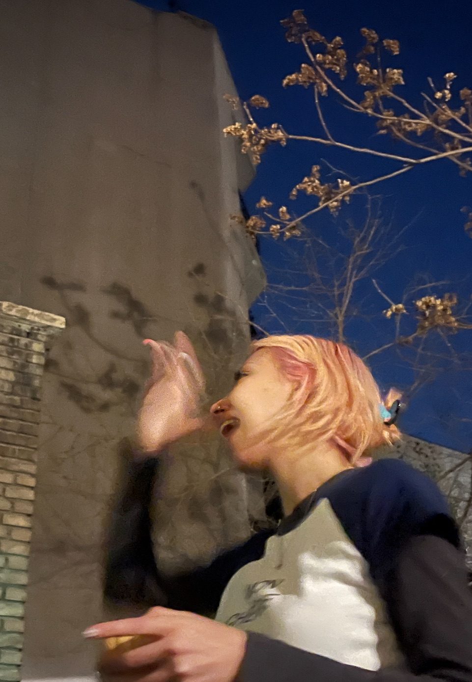 Picture of my friend bahar