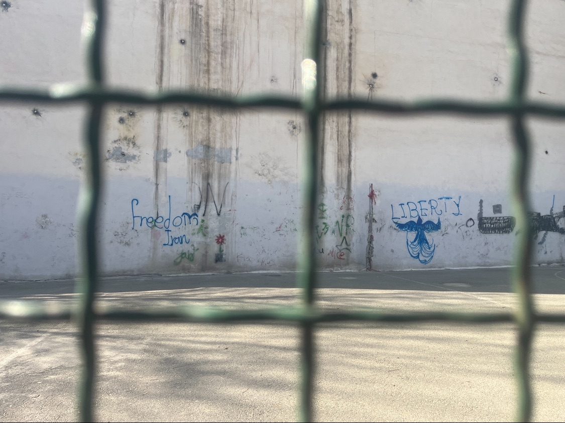 Picture from behind a metal playground cage, bird graffiti
