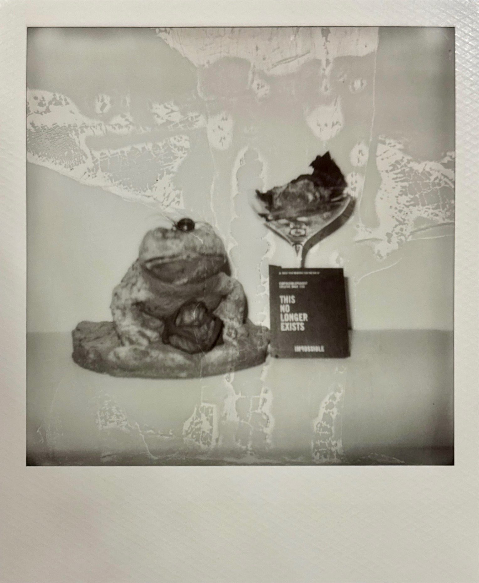 Black and white Polaroid distorted still life image of plaster toad, champagne glass, dead flower and button