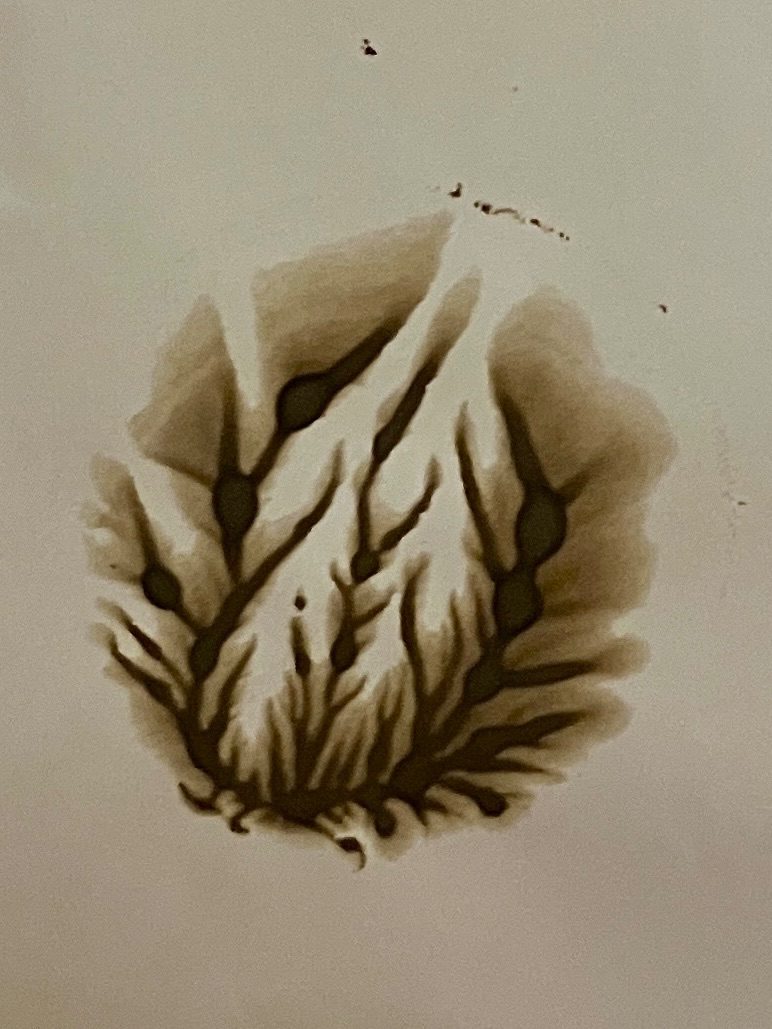 Soil in watercolour on paper