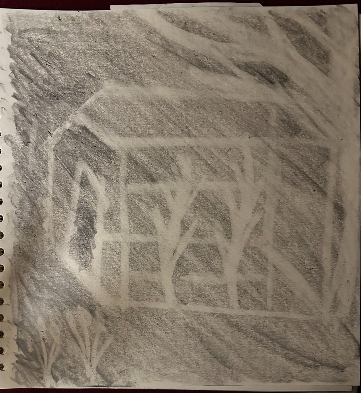 graphite pencil on paper