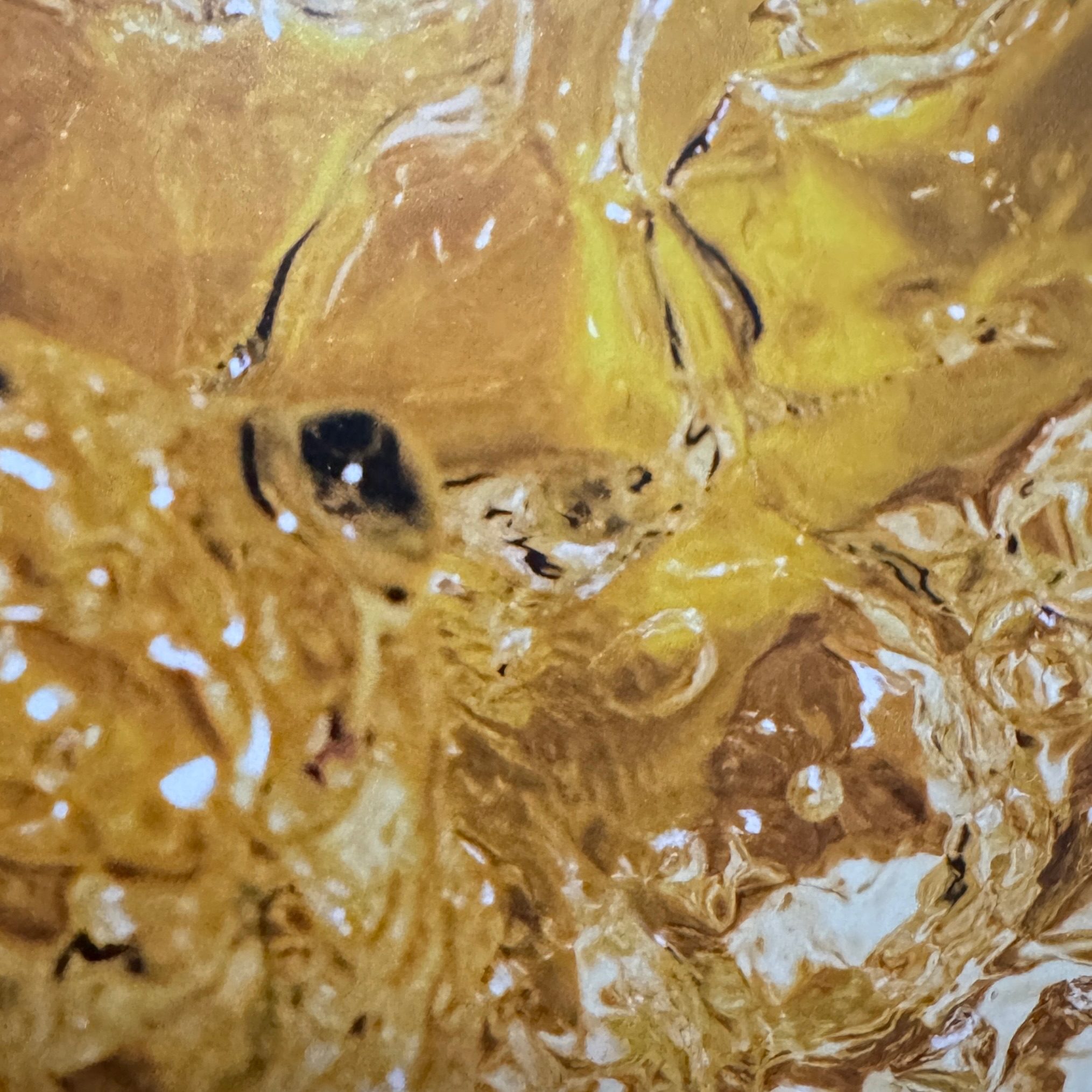 An abstract colour photograph deep yellow in colour with shapes resembling fish life